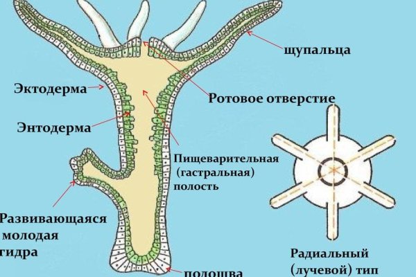 Kraken market зеркала
