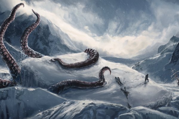 Kraken market