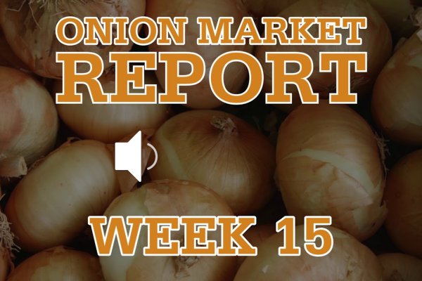Даркнет маркет кракен onion