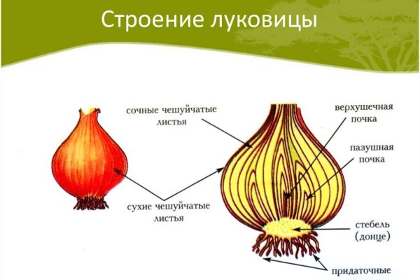 Кракен зеркало onion